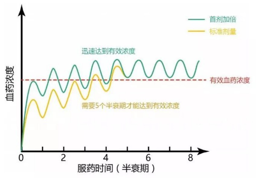 半衰期解釋:為什麼樂軒昂不會突然「失效」 半衰期解釋:為什麼樂軒昂不會突然「失效」